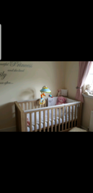 camberwell cot bed
